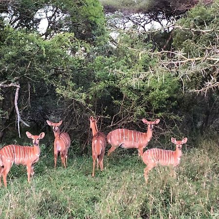 Msunduze River Lodge Mkuze Экстерьер фото