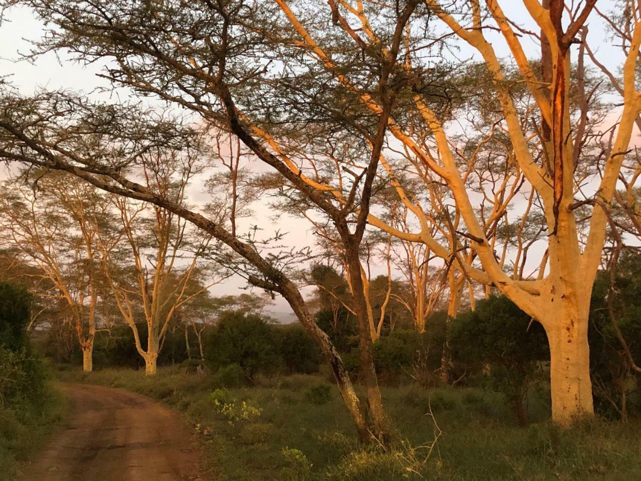 Msunduze River Lodge Mkuze Экстерьер фото